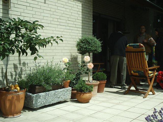 S2010337 (Medium)
